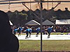 Dsc_0169_r