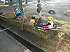 Dscn0238_r