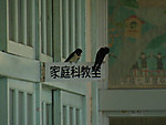 Dscn8452