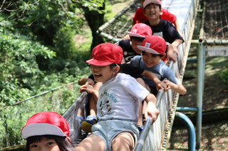Img_9515 Img_9515