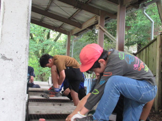 Img_5890 Img_5890