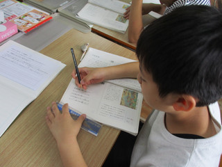 Img_2203 Img_2203
