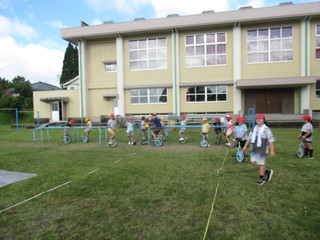 Img_0954 Img_0954