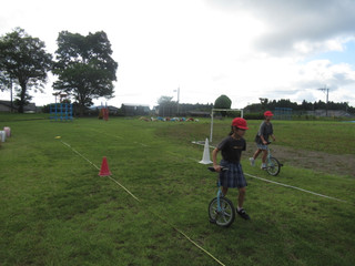 Img_0955 Img_0955