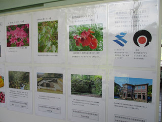Img_2338 Img_2338