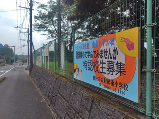 Photo_2