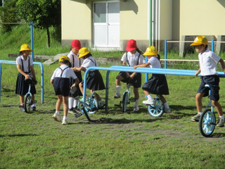 Img_2277 Img_2277