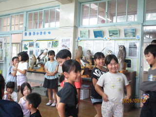 Img_2395 Img_2395