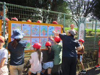 Img_2478 Img_2478