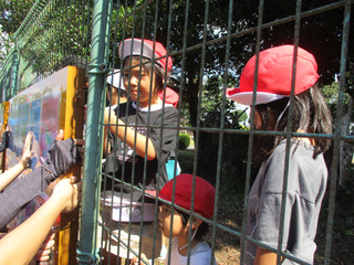 Img_2480 Img_2480