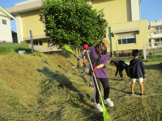 Img_2414 Img_2414