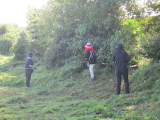 Img_2523 Img_2523