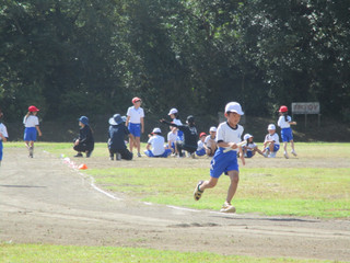 Img_2543 Img_2543
