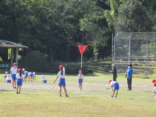 Img_2558 Img_2558