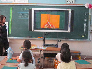 Img_2564 Img_2564
