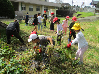 Img_2583 Img_2583