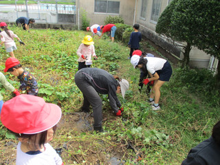 Img_2584 Img_2584