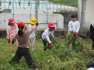 Img_2588 Img_2588
