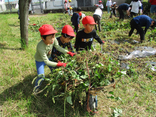 Img_2591 Img_2591