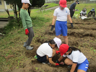 Img_2457 Img_2457
