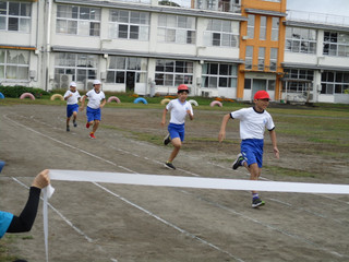 Img_2610 Img_2610