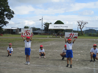 Img_2611 Img_2611
